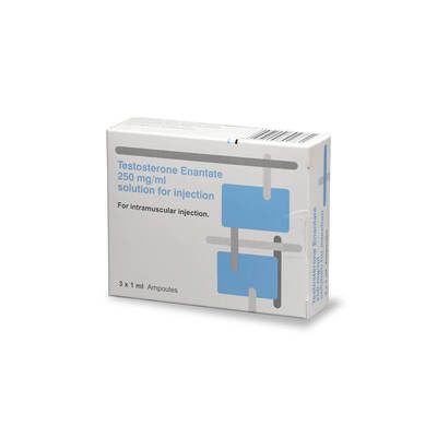 Testosterone Enantate 250mg/1ml Vial POM x3 Testosterone Enantate 250mg/1ml Vial POM x3