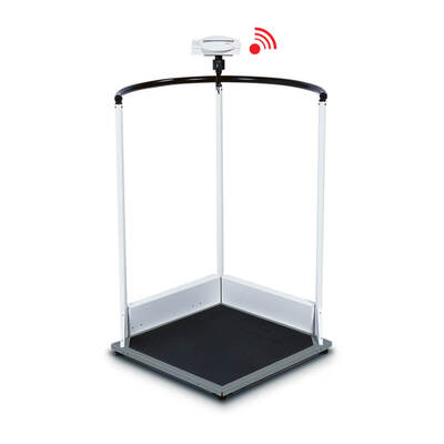 seca 645 Class (III) Approved Platform Scale with Hand Rail
