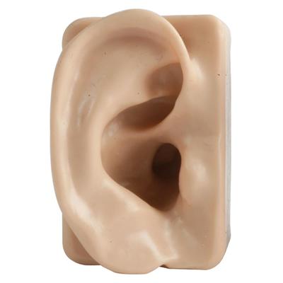 Silicone Ear Model - Left Ear