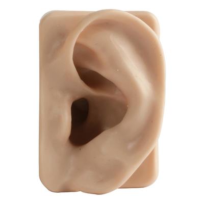 Silicone Ear Model - Right Ear